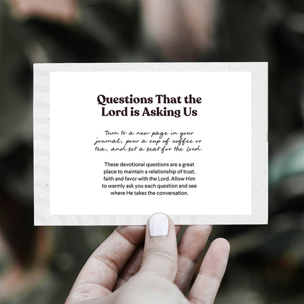 Devotional Questions Vol 2 - Card Pack